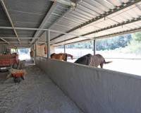 finca for sale with stables