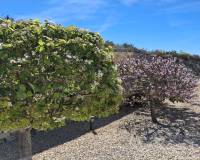 Sale - Finca / Country house - Benissa - Benissa Costa