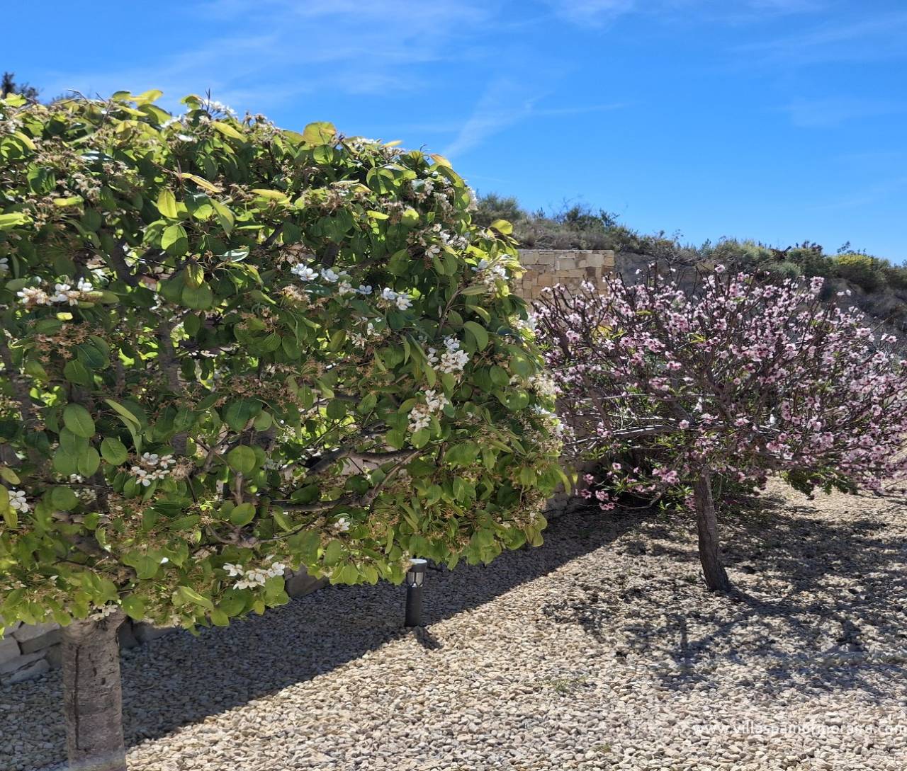 Sale - Finca / Country house - Benissa - Benissa Costa