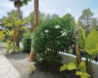 Sale - Villa - Benissa - Montemar