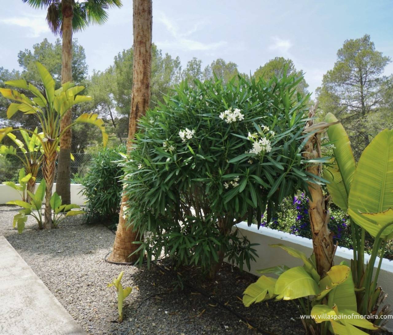 Sale - Villa - Benissa - Montemar