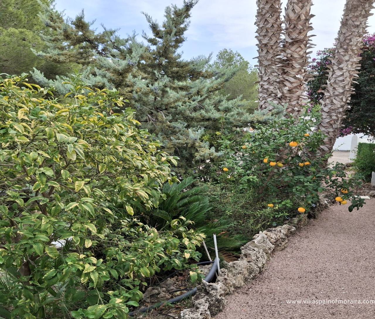 Sale - Villa - Benissa - Montemar